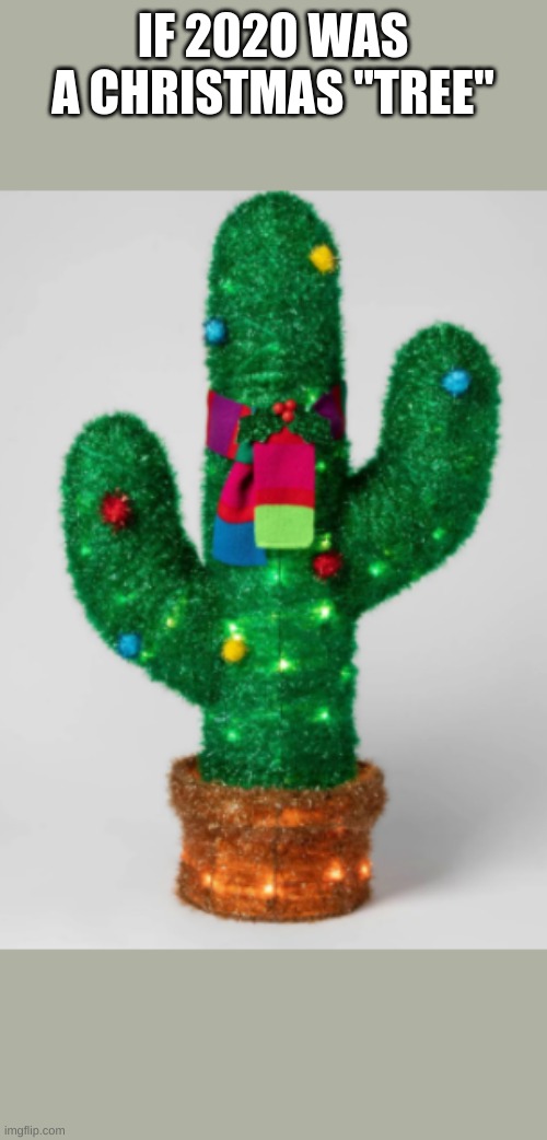 Cactus | IF 2020 WAS A CHRISTMAS "TREE" | image tagged in 2020 sucks | made w/ Imgflip meme maker