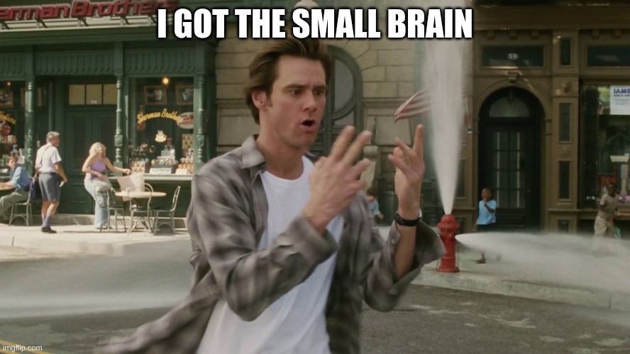 Bruce Almighty Ive Got the Power | I GOT THE SMALL BRAIN | image tagged in bruce almighty ive got the power | made w/ Imgflip meme maker