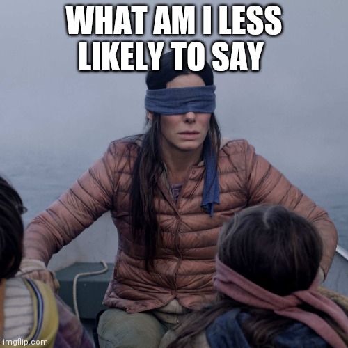 Bird Box | WHAT AM I LESS LIKELY TO SAY | image tagged in memes,bird box | made w/ Imgflip meme maker