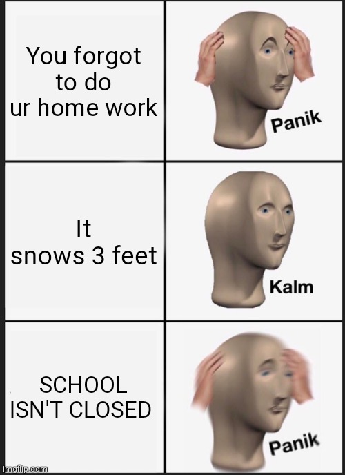 Oh no | You forgot to do ur home work; It snows 3 feet; SCHOOL ISN'T CLOSED | image tagged in memes,panik kalm panik | made w/ Imgflip meme maker