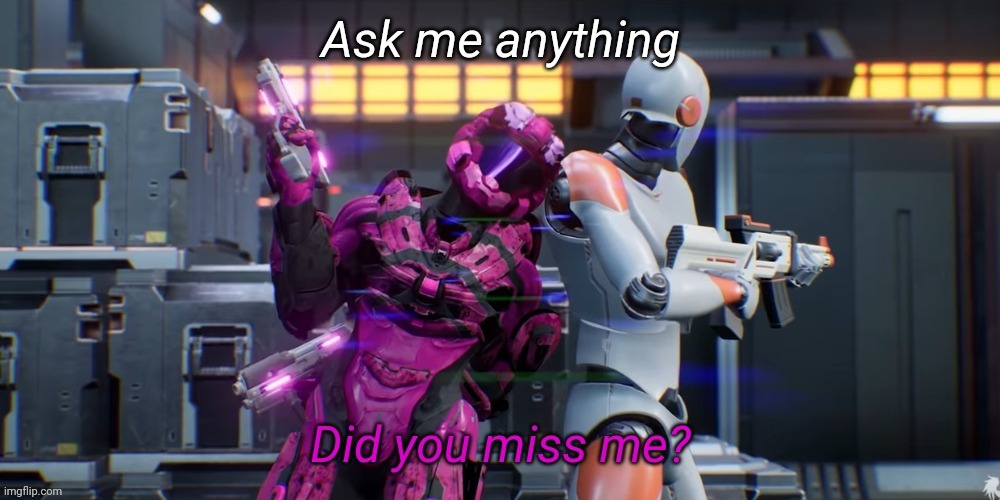Did you miss me | Ask me anything | image tagged in did you miss me | made w/ Imgflip meme maker