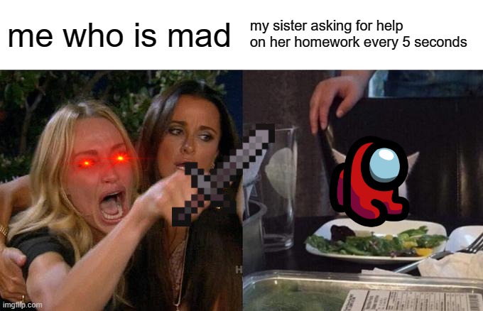 Woman Yelling At Cat | me who is mad; my sister asking for help on her homework every 5 seconds | image tagged in memes | made w/ Imgflip meme maker