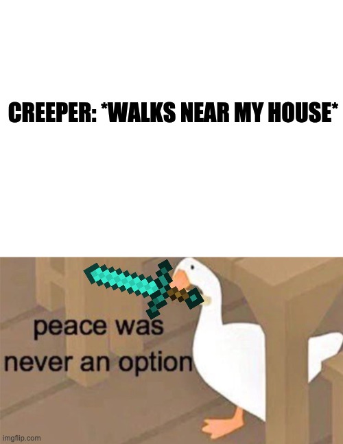 CREEPER: *WALKS NEAR MY HOUSE* | image tagged in blank white template,untitled goose peace was never an option | made w/ Imgflip meme maker