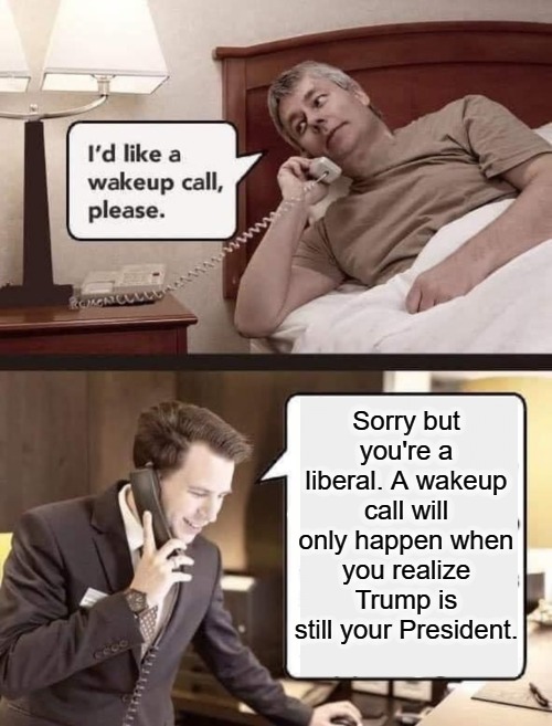 I'd like a wakeup call, please. | Sorry but you're a liberal. A wakeup call will only happen when you realize Trump is still your President. | image tagged in wakeup call,trump is still your president,triggering liberals,trump 2020,make liberals cry again,maga | made w/ Imgflip meme maker
