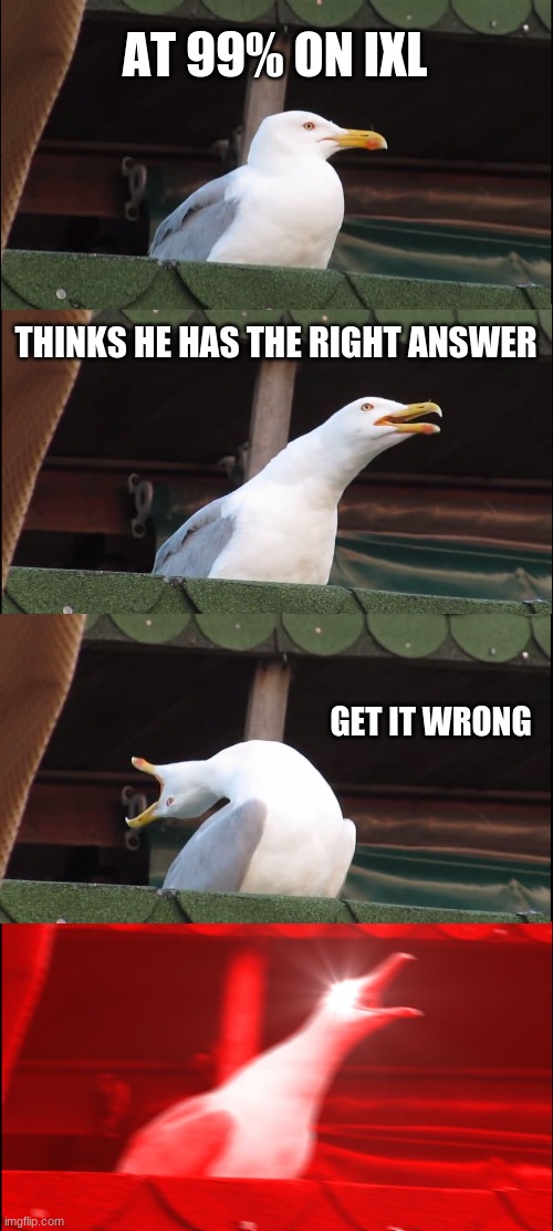 Inhaling Seagull | AT 99% ON IXL; THINKS HE HAS THE RIGHT ANSWER; GET IT WRONG | image tagged in memes,inhaling seagull | made w/ Imgflip meme maker