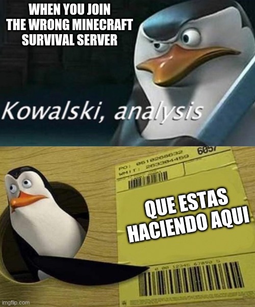 Kowalski Analysis | WHEN YOU JOIN THE WRONG MINECRAFT SURVIVAL SERVER; QUE ESTAS HACIENDO AQUI | image tagged in kowalski analysis | made w/ Imgflip meme maker