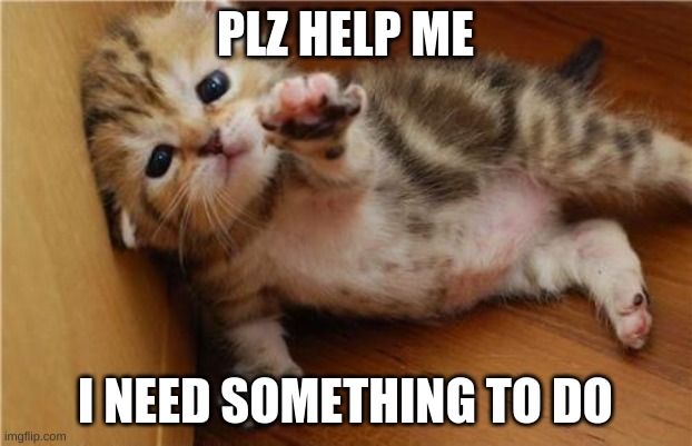 Help Me Kitten | PLZ HELP ME; I NEED SOMETHING TO DO | image tagged in help me kitten | made w/ Imgflip meme maker