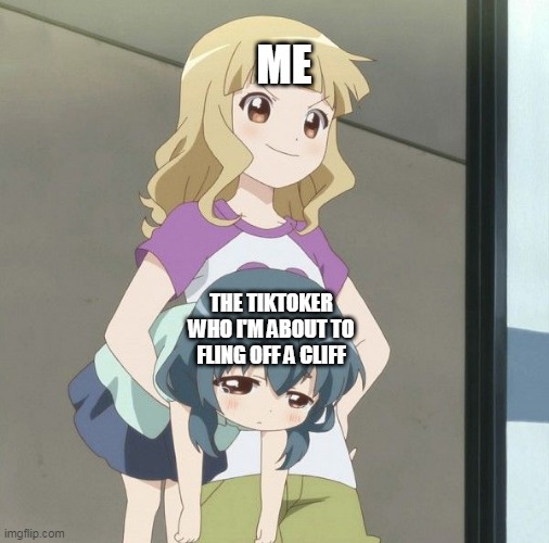 Anime Carry | ME; THE TIKTOKER WHO I'M ABOUT TO FLING OFF A CLIFF | image tagged in anime carry | made w/ Imgflip meme maker