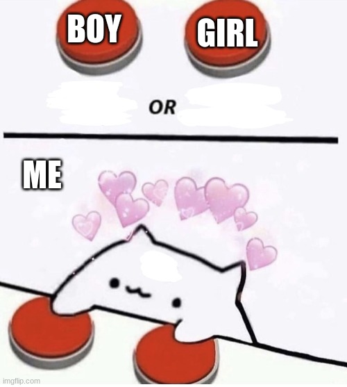Cat pressing two buttons | BOY GIRL ME | image tagged in cat pressing two buttons | made w/ Imgflip meme maker