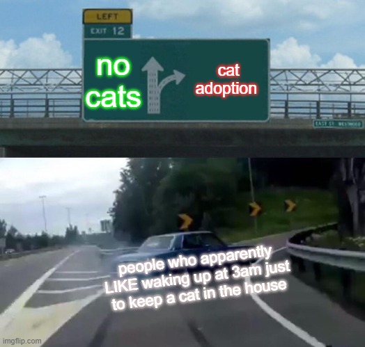 Left Exit 12 Off Ramp | no cats; cat adoption; people who apparently LIKE waking up at 3am just to keep a cat in the house | image tagged in memes,left exit 12 off ramp | made w/ Imgflip meme maker
