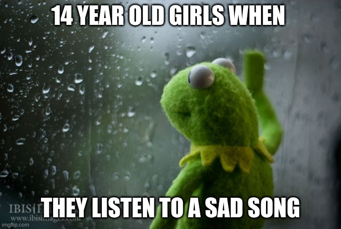kermit window | 14 YEAR OLD GIRLS WHEN; THEY LISTEN TO A SAD SONG | image tagged in kermit window | made w/ Imgflip meme maker