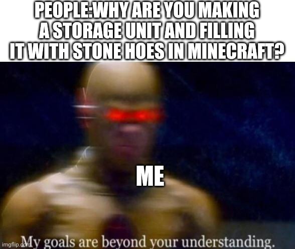 My Goals are Beyond your Understanding | PEOPLE:WHY ARE YOU MAKING A STORAGE UNIT AND FILLING IT WITH STONE HOES IN MINECRAFT? ME | image tagged in my goals are beyond your understanding | made w/ Imgflip meme maker