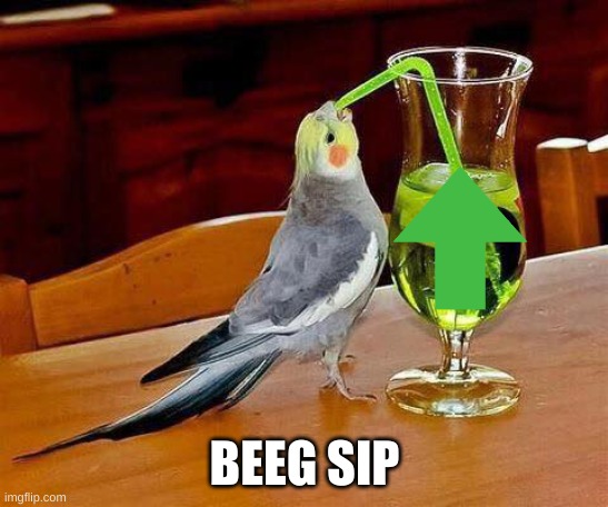 Big Sip | BEEG SIP | image tagged in big sip | made w/ Imgflip meme maker