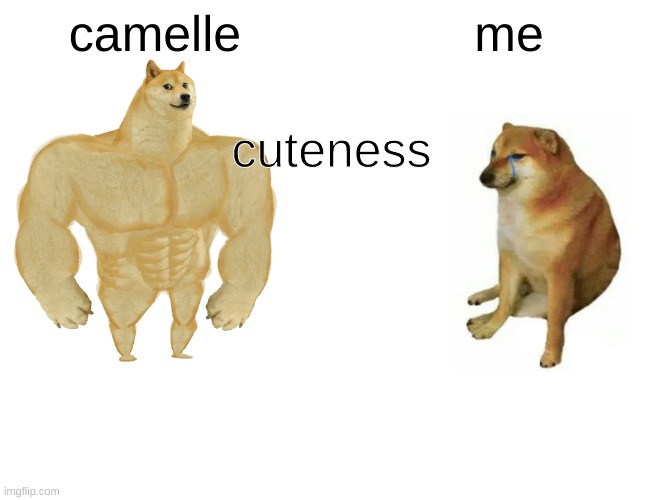 flert | cuteness; camelle; me | image tagged in memes,buff doge vs cheems | made w/ Imgflip meme maker