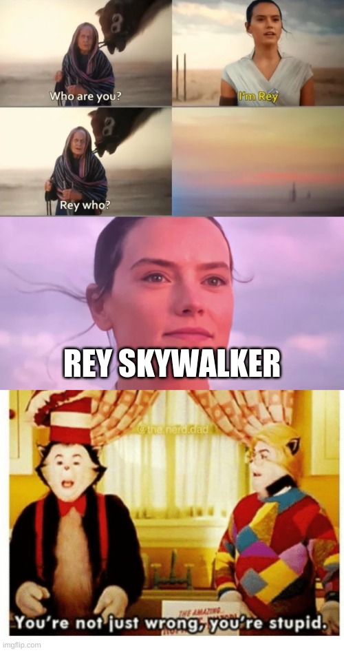  REY SKYWALKER | image tagged in rey who,you're not just wrong your stupid,memes,funny,stfu | made w/ Imgflip meme maker