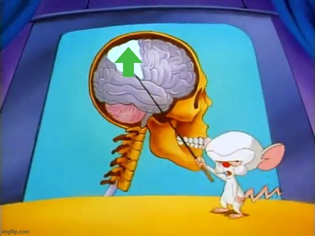 the brain | image tagged in the brain | made w/ Imgflip meme maker