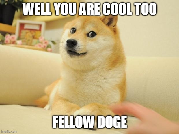 Doge 2 | WELL YOU ARE COOL TOO; FELLOW DOGE | image tagged in memes,doge 2 | made w/ Imgflip meme maker