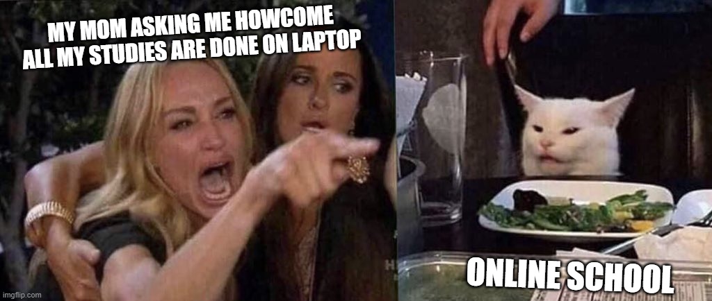 woman yelling at cat | MY MOM ASKING ME HOWCOME ALL MY STUDIES ARE DONE ON LAPTOP; ONLINE SCHOOL | image tagged in woman yelling at cat | made w/ Imgflip meme maker