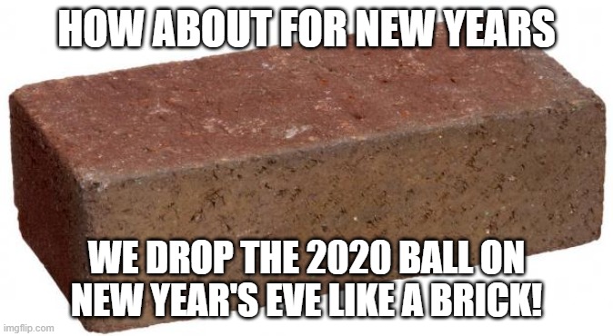 How About A New, New Year's Eve Tradition? | HOW ABOUT FOR NEW YEARS; WE DROP THE 2020 BALL ON NEW YEAR'S EVE LIKE A BRICK! | image tagged in brick,new years,new years eve,drop | made w/ Imgflip meme maker