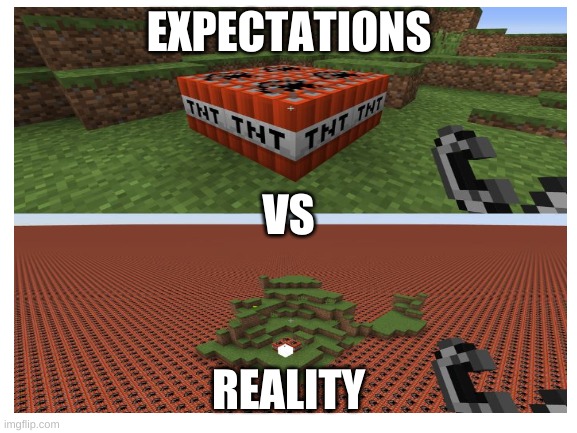 every minecraft user be like | EXPECTATIONS; VS; REALITY | image tagged in tnt | made w/ Imgflip meme maker