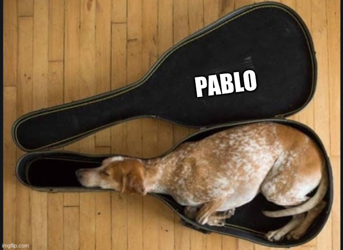 Pablo | PABLO | made w/ Imgflip meme maker