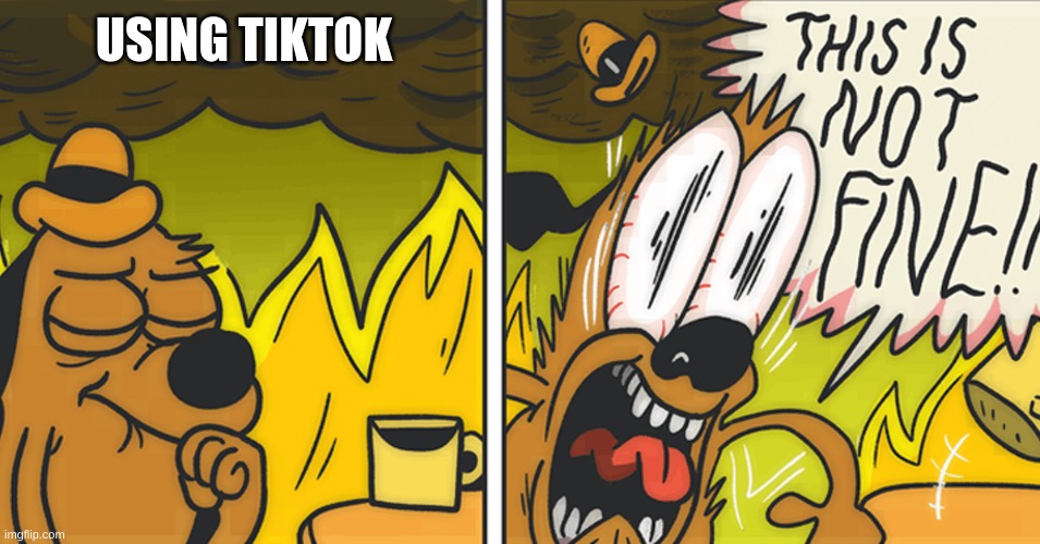 This is not fine | USING TIKTOK | image tagged in this is not fine | made w/ Imgflip meme maker