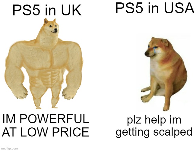 Buff Doge vs. Cheems Meme | PS5 in USA; PS5 in UK; IM POWERFUL
AT LOW PRICE; plz help im
getting scalped | image tagged in memes,buff doge vs cheems | made w/ Imgflip meme maker