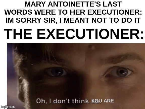 fact/meme | MARY ANTOINETTE'S LAST WORDS WERE TO HER EXECUTIONER: IM SORRY SIR, I MEANT NOT TO DO IT; THE EXECUTIONER:; YOU ARE | image tagged in fun fact,blank white template,factual | made w/ Imgflip meme maker