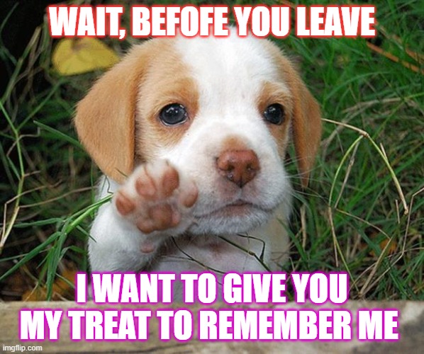 dog puppy bye | WAIT, BEFOFE YOU LEAVE; I WANT TO GIVE YOU MY TREAT TO REMEMBER ME | image tagged in dog puppy bye | made w/ Imgflip meme maker