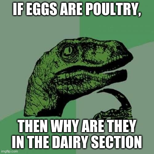 has anyone ever fought about it? | IF EGGS ARE POULTRY, THEN WHY ARE THEY IN THE DAIRY SECTION | image tagged in memes,philosoraptor | made w/ Imgflip meme maker