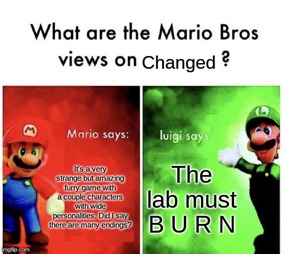 Changed acording to the Mario bros! | Changed; It's a very strange but amazing furry game with a couple characters with wide personalities. Did I say there are many endings? The lab must B U R N | image tagged in mario bros views | made w/ Imgflip meme maker