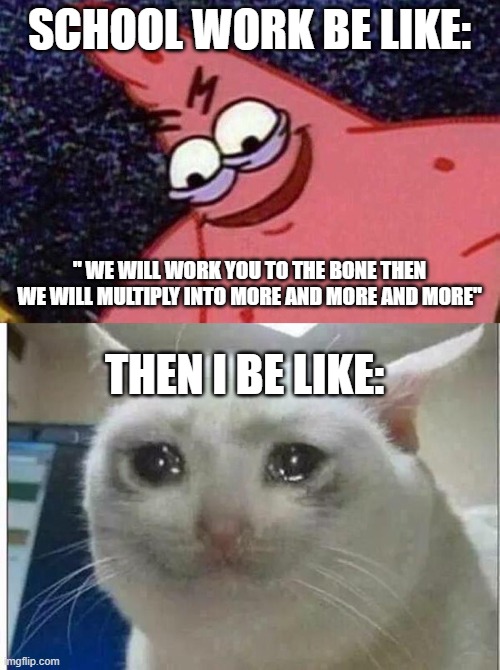 i HATE school work |  SCHOOL WORK BE LIKE:; " WE WILL WORK YOU TO THE BONE THEN WE WILL MULTIPLY INTO MORE AND MORE AND MORE"; THEN I BE LIKE: | image tagged in evil patrick,crying cat,online school,homework,sad | made w/ Imgflip meme maker