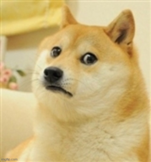 Sad Doge | image tagged in sad doge | made w/ Imgflip meme maker