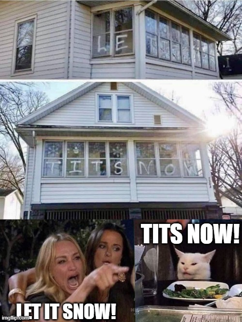 TITS NOW! LET IT SNOW! | image tagged in woman yelling at cat,funny,funny memes | made w/ Imgflip meme maker