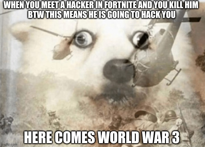 PTSD dog | WHEN YOU MEET A HACKER IN FORTNITE AND YOU KILL HIM 
BTW THIS MEANS HE IS GOING TO HACK YOU; HERE COMES WORLD WAR 3 | image tagged in ptsd dog | made w/ Imgflip meme maker