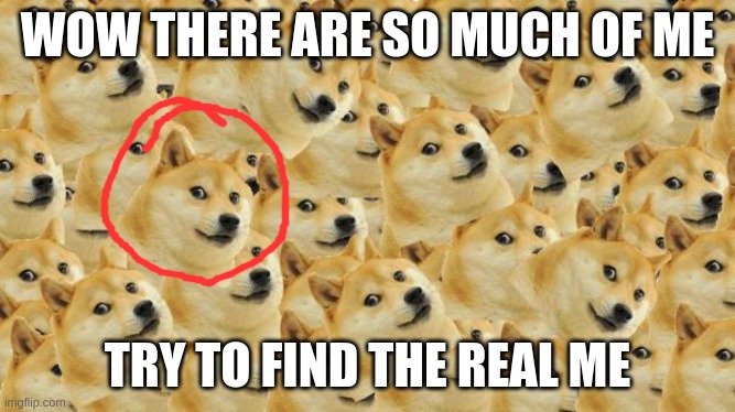 Multi Doge Meme | WOW THERE ARE SO MUCH OF ME TRY TO FIND THE REAL ME | image tagged in memes,multi doge | made w/ Imgflip meme maker