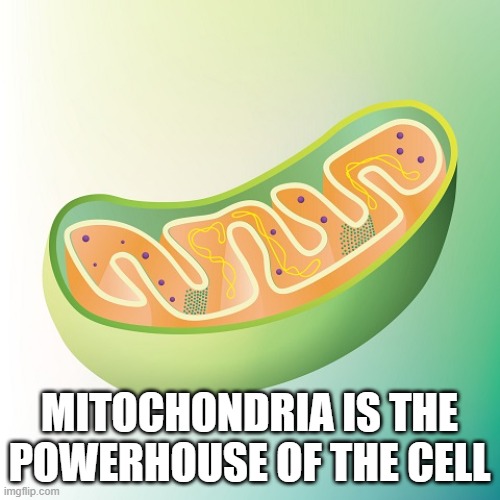 Mitochondria is the powerhouse of the cell | MITOCHONDRIA IS THE POWERHOUSE OF THE CELL | image tagged in mitochondria is the powerhouse of the cell | made w/ Imgflip meme maker