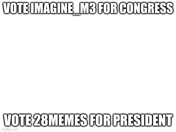 vote us for our respective positions | VOTE IMAGINE_M3 FOR CONGRESS; VOTE 28MEMES FOR PRESIDENT | image tagged in blank white template | made w/ Imgflip meme maker