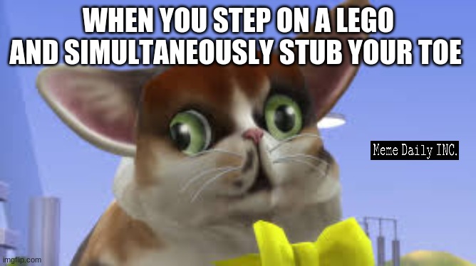 Spleeeeeeeens | WHEN YOU STEP ON A LEGO AND SIMULTANEOUSLY STUB YOUR TOE | image tagged in spleensthecat,graystillplays,weird cat | made w/ Imgflip meme maker
