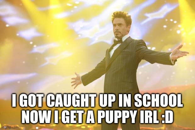 Tony Stark success | I GOT CAUGHT UP IN SCHOOL NOW I GET A PUPPY IRL :D | image tagged in tony stark success | made w/ Imgflip meme maker