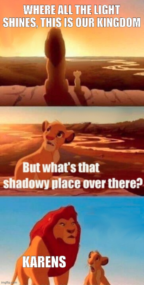 Simba Shadowy Place | WHERE ALL THE LIGHT SHINES, THIS IS OUR KINGDOM; KARENS | image tagged in memes,simba shadowy place | made w/ Imgflip meme maker