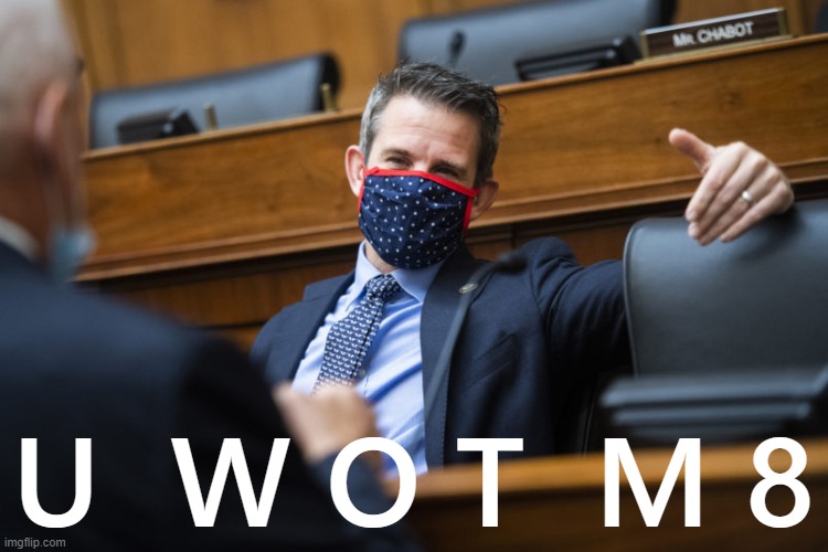 High Quality Rep. Adam Kinzinger U Wot M8 Blank Meme Template