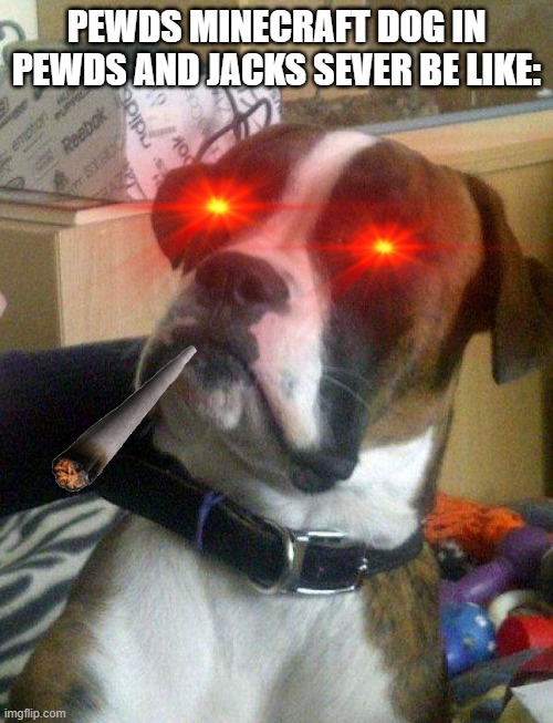 pewds dog in jacks server |  PEWDS MINECRAFT DOG IN PEWDS AND JACKS SEVER BE LIKE: | image tagged in blankie the shocked dog | made w/ Imgflip meme maker