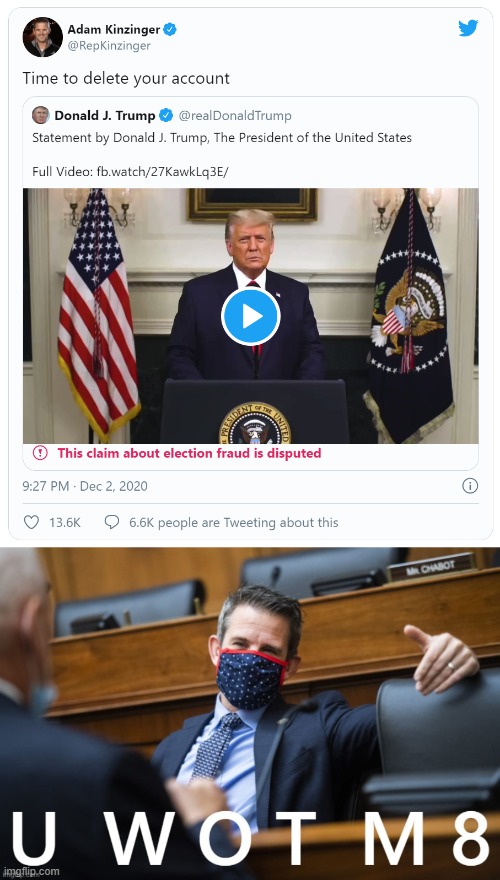 Republican lawmaker tells Republican President to yeetus deletus: what a savage | image tagged in rep adam kinzinger savage tweet,rep adam kinzinger u wot m8 | made w/ Imgflip meme maker