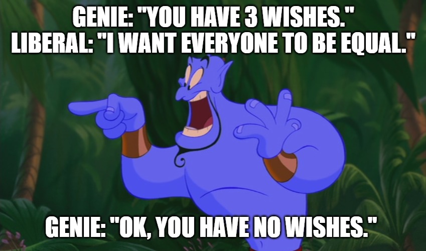 Make A Wish | GENIE: "YOU HAVE 3 WISHES."
LIBERAL: "I WANT EVERYONE TO BE EQUAL."; GENIE: "OK, YOU HAVE NO WISHES." | image tagged in liberal,make a wish,stupid,logical | made w/ Imgflip meme maker