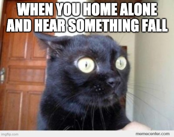 Scared Cat | WHEN YOU HOME ALONE AND HEAR SOMETHING FALL | image tagged in scared cat | made w/ Imgflip meme maker