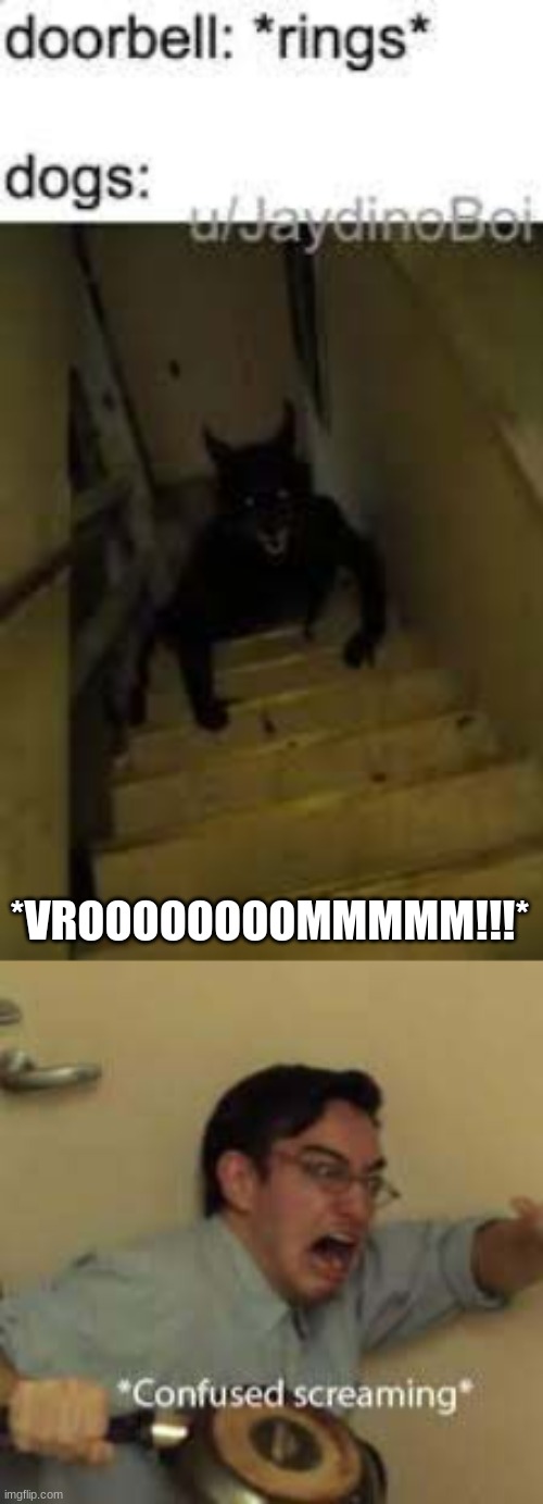 U dare challenge me Mortal? | *VROOOOOOOOMMMMM!!!* | image tagged in evil dog,ooh-very-scary | made w/ Imgflip meme maker