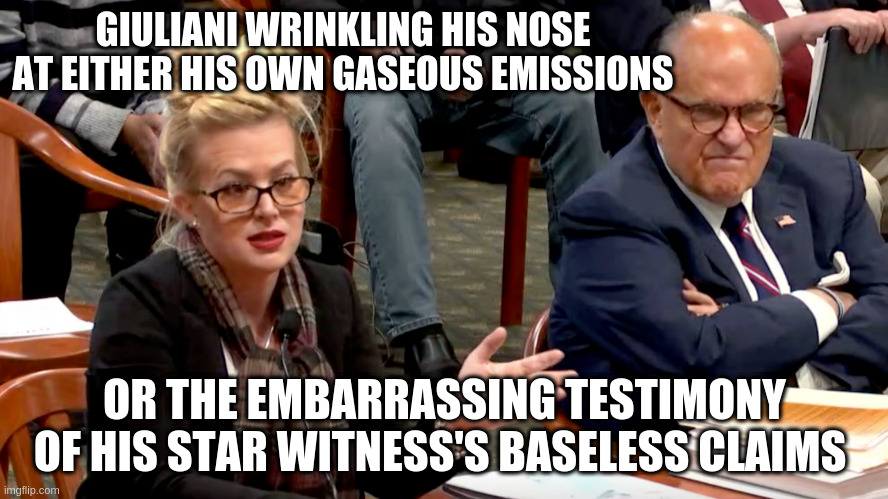 Two different kinds of obnoxious gaseous emissions? | GIULIANI WRINKLING HIS NOSE AT EITHER HIS OWN GASEOUS EMISSIONS; OR THE EMBARRASSING TESTIMONY OF HIS STAR WITNESS'S BASELESS CLAIMS | image tagged in trump,giuliani,melissa carone,humor,election 2020 | made w/ Imgflip meme maker