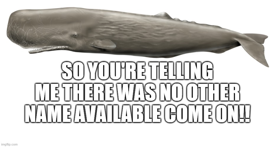 sperm whale? | SO YOU'RE TELLING ME THERE WAS NO OTHER NAME AVAILABLE COME ON!! | made w/ Imgflip meme maker