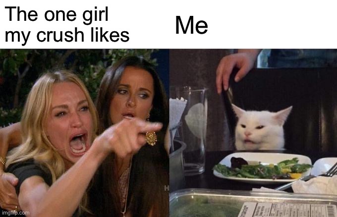 Woman Yelling At Cat | The one girl my crush likes; Me | image tagged in memes,woman yelling at cat | made w/ Imgflip meme maker